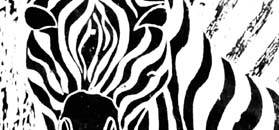 Detail of Zebra by Wayland House